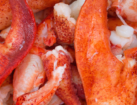 Fresh Maine Lobster Meat, , large